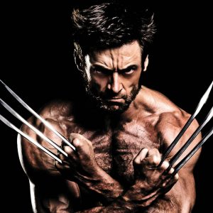 wolverine-86hpwt4nl2tbm4oj